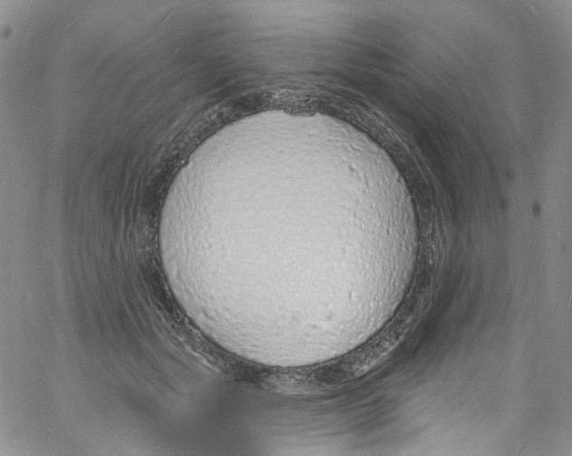 X0000060810557200512082218