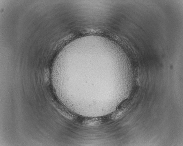 X0000060810563200512082218