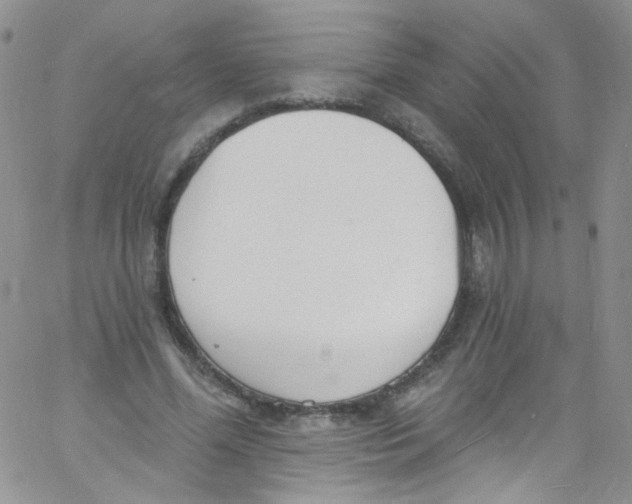 X0000060810588200512082217