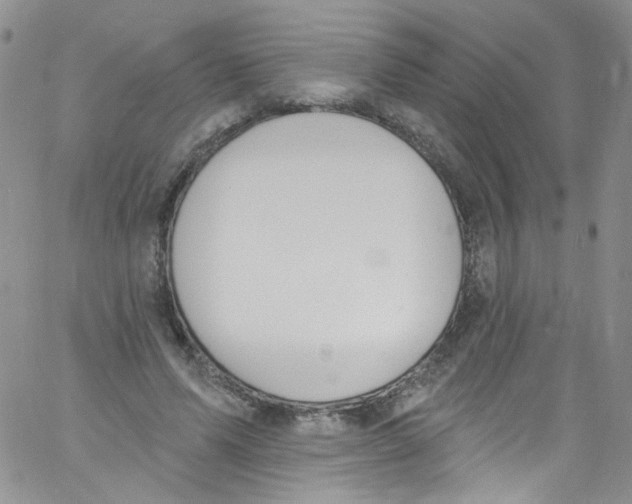 X0000060810591200512082217