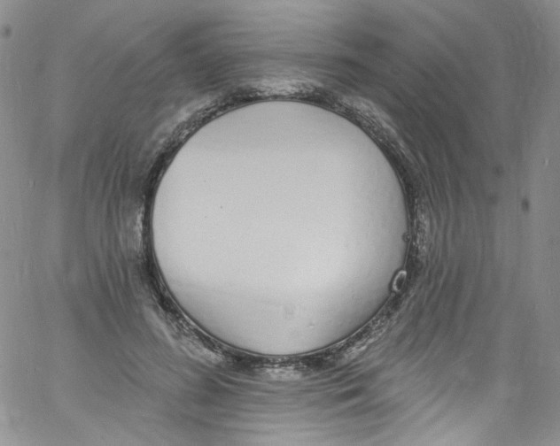 X0000060810596200512082217