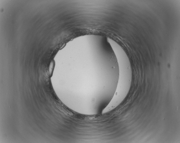 X0000060810613200512082217
