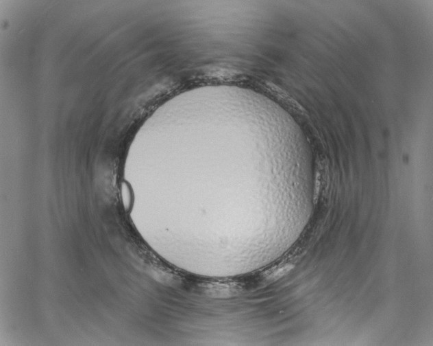 X0000060810615200512082217