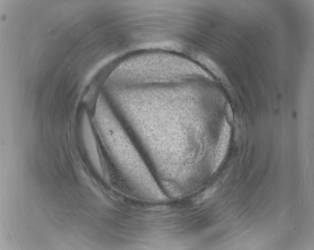 X0000060810628200512082216