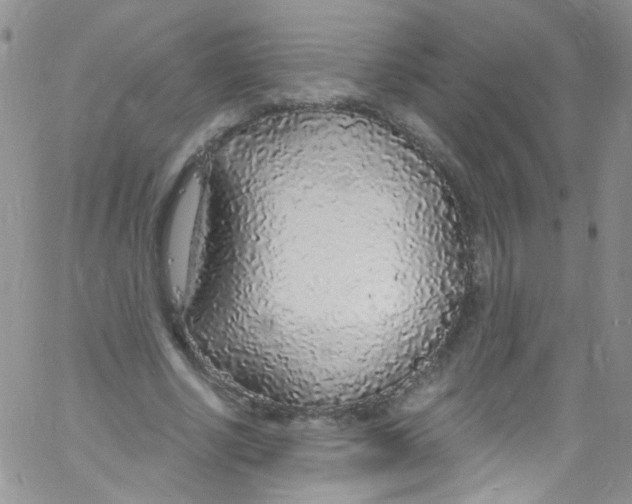 X0000060810634200512082216