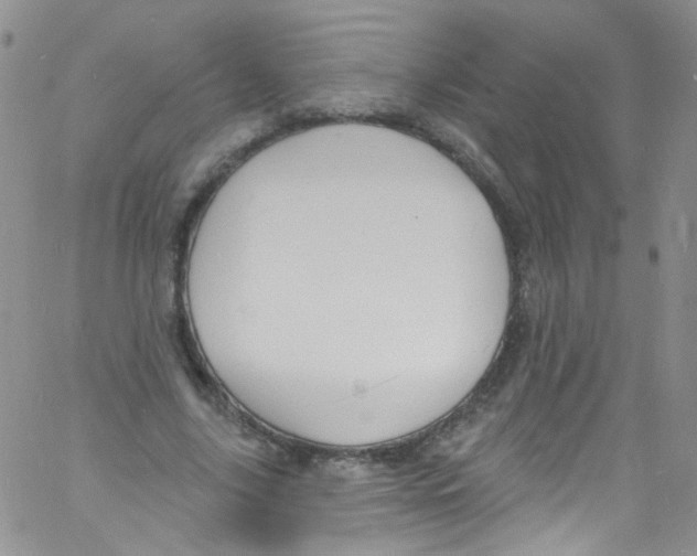 X0000060810635200512082216