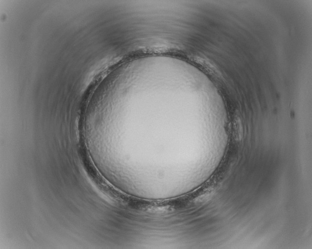 X0000060810638200512082216