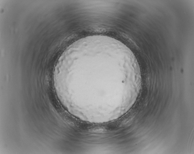 X0000060810643200512082216