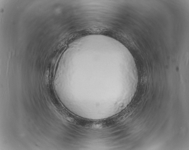 X0000060810647200512082216