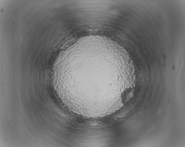 X0000060810654200512082216