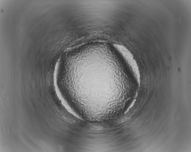 X0000060810658200512082216