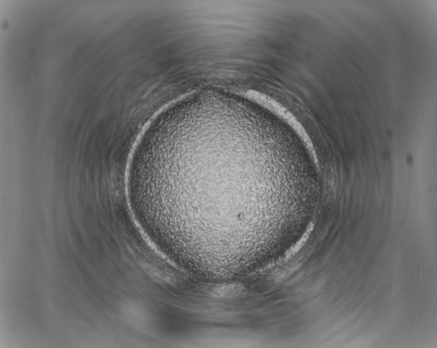X0000060810663200512082216