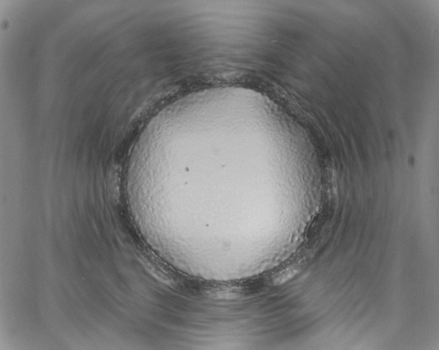 X0000060810664200512082216