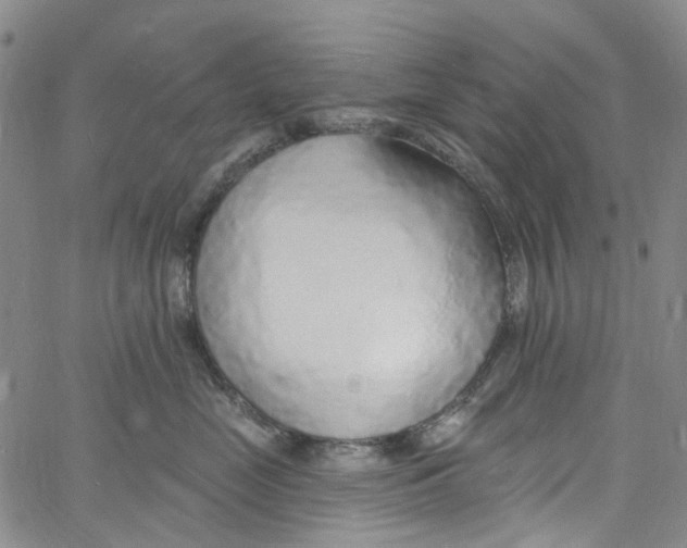 X0000060810669200512082216