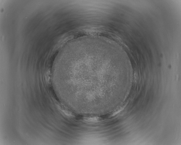 X0000060810671200512082216