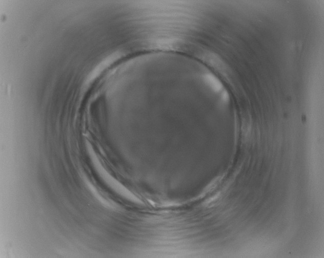 X0000060810674200512082216