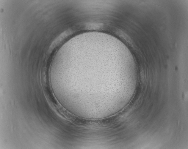 X0000060810682200512082215