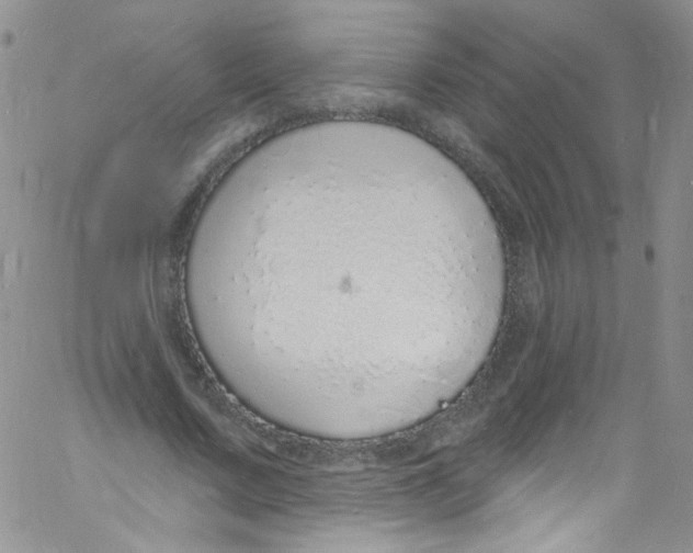 X0000060810683200512082215