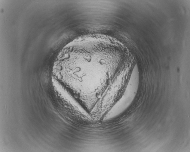 X0000060810691200512082215