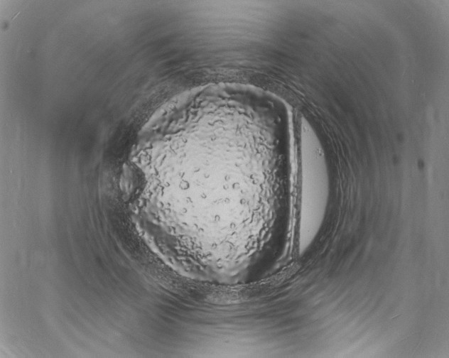 X0000060810699200512082215