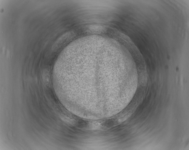 X0000060810701200512082215