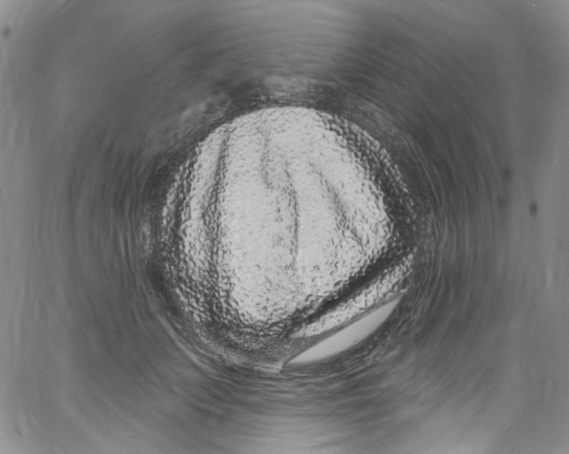 X0000060810703200512082215
