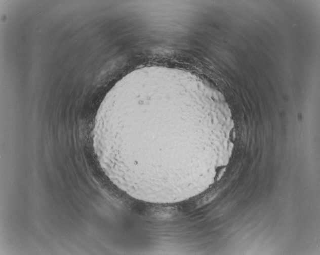 X0000060810711200512082215