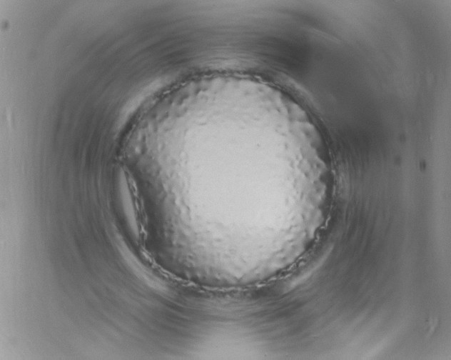 X0000060810725200512082214