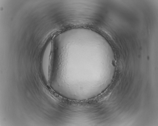 X0000060810733200512082214