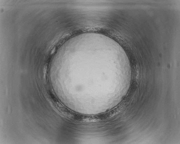 X0000060810742200512082214
