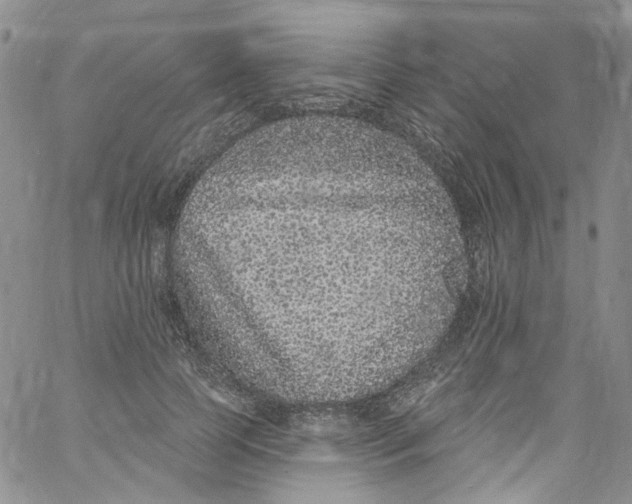 X0000060810745200512082214