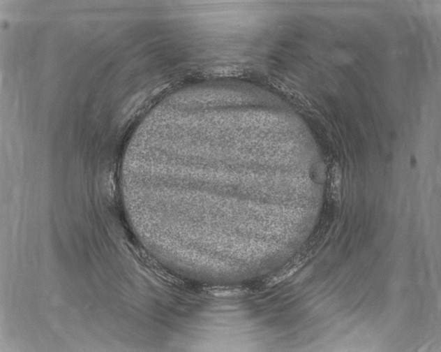 X0000060810746200512082215