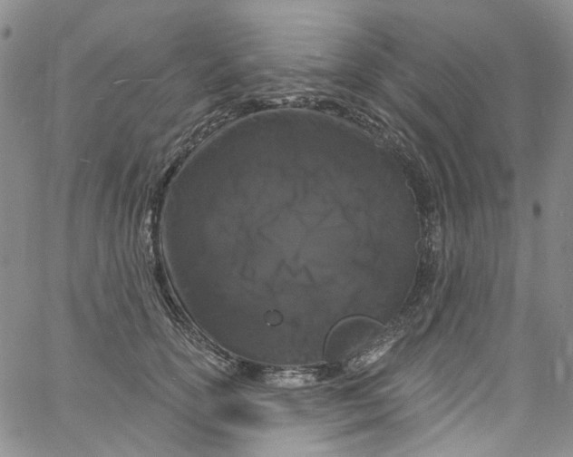 X0000060810754200512082215