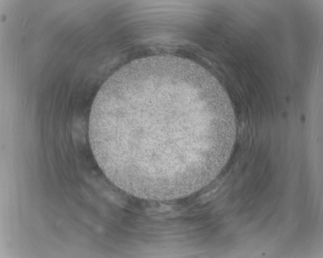 X0000060810772200512082214