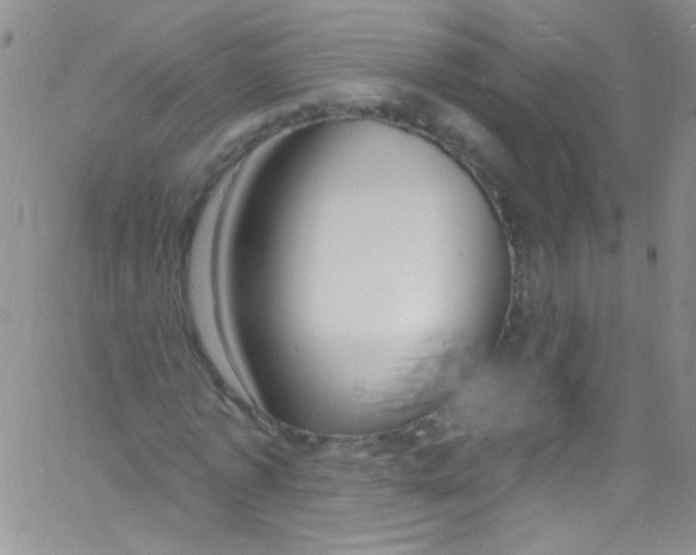X0000060810773200512082214