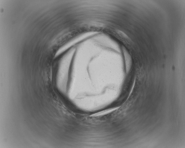 X0000060810774200512082214