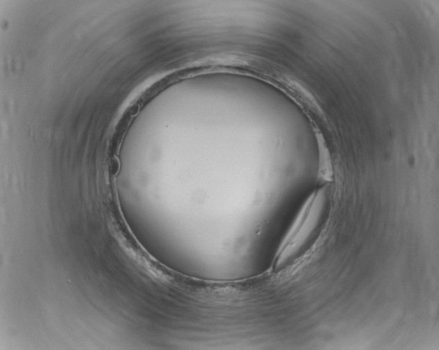 X0000060810784200512082214