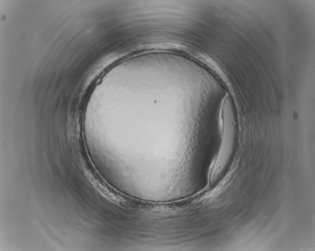 X0000060810787200512082214