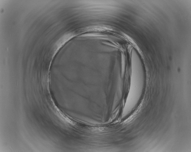 X0000060810802200512082214