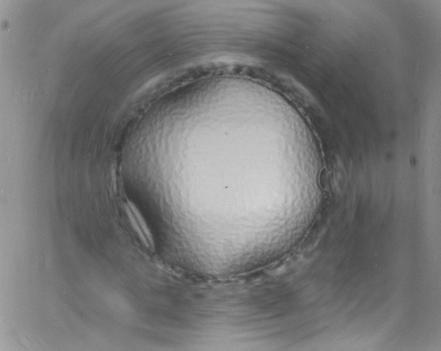 X0000060810821200512082213