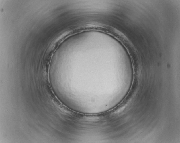 X0000060810825200512082213