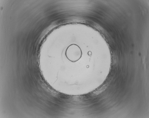 X0000060810828200512082213