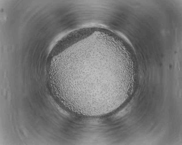 X0000060810831200512082213