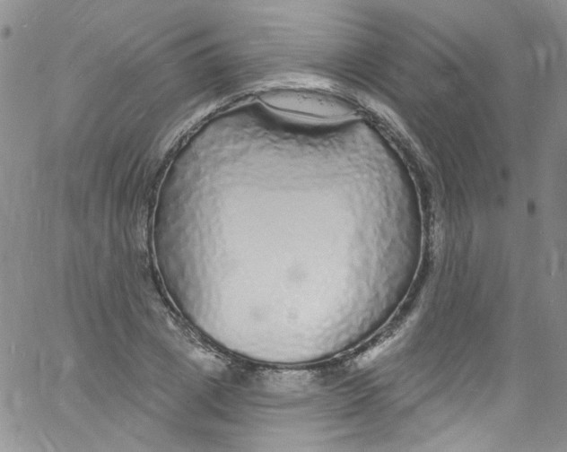 X0000060810833200512082213