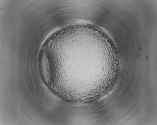 X0000060810835200512082213
