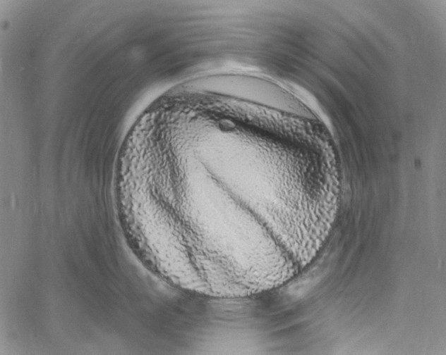 X0000060810863200512082213