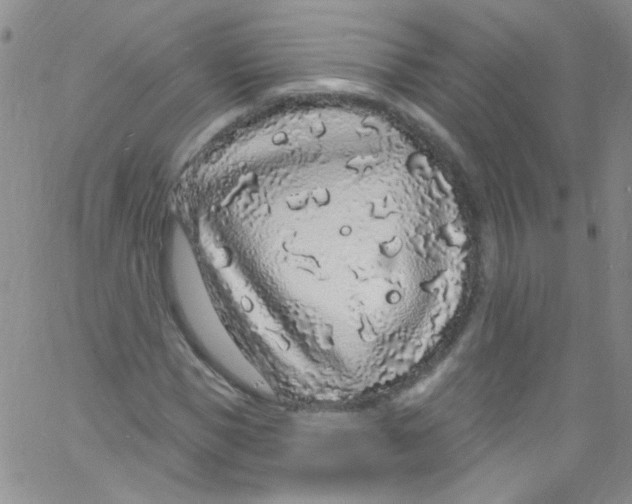 X0000060810921200512082211