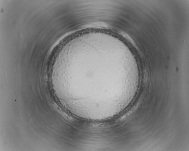 X0000060810923200512082211