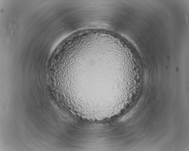 X0000060810925200512082211