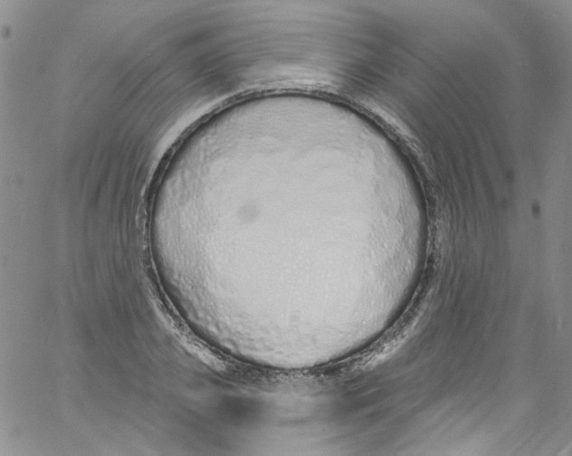 X0000060810933200512082211